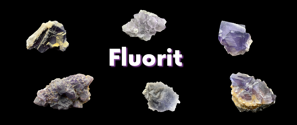 Akvapras-2 (kopie 2).png