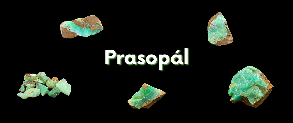Akvapras-2.png
