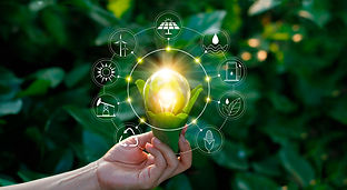 Sustentabilidad y sostenibilidad de las organizaciones VEC Solutions LLC