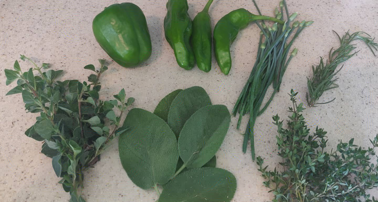 Plants and seeds