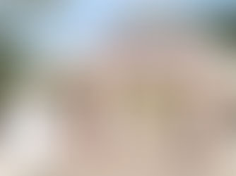 AN 