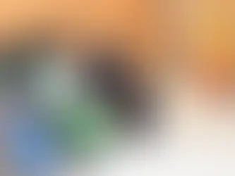 COUR CONSTITUTIONNELLE