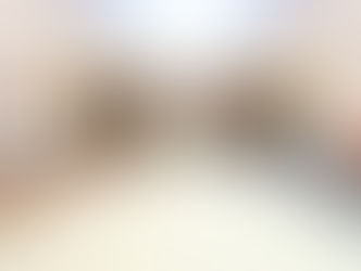 Conseil des Ministres Niger