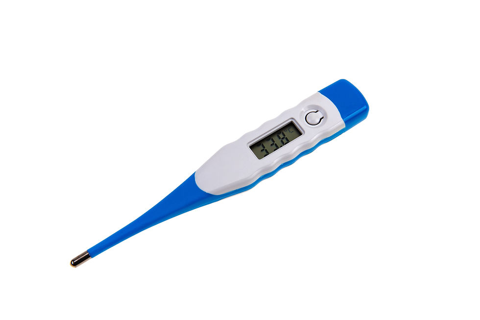 Thumbnail: Digital Thermometers flixible tip
