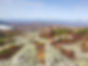 120128846_974176572993757_4851177611771763733_n.jpg