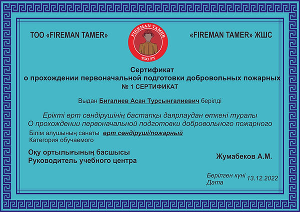 Сертификат ДПФ.jpg