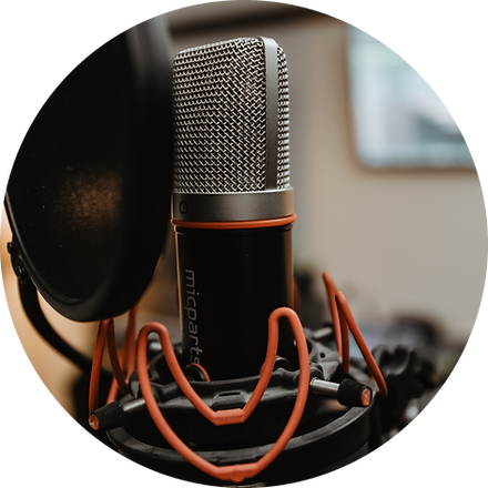 Vocal Microphone