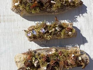 Moss, lichen, pinecones and shells top 3 driftwood logs.