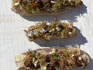 Moss, lichen, pinecones and shells top 3 driftwood logs.