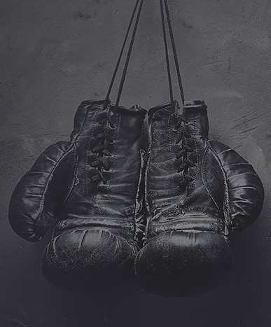 Boxhandschuhe