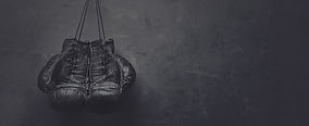 Boxing Gloves