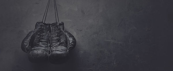 Boxhandschuhe
