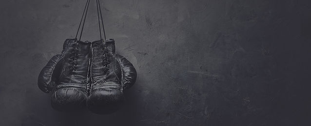 Boxing Gloves