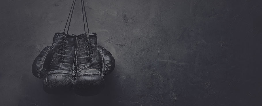 Boxing Gloves