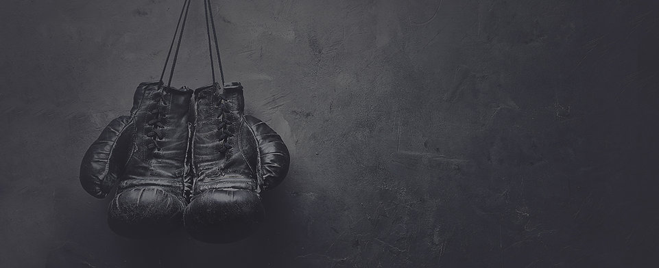 Boxing Gloves