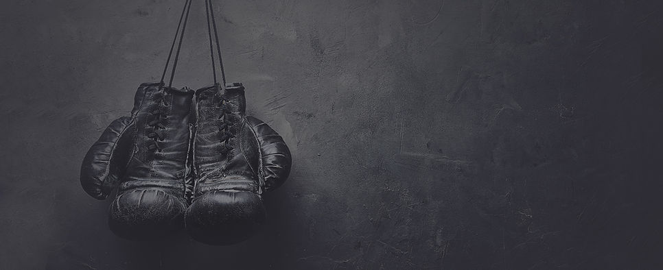 Boxhandschuhe