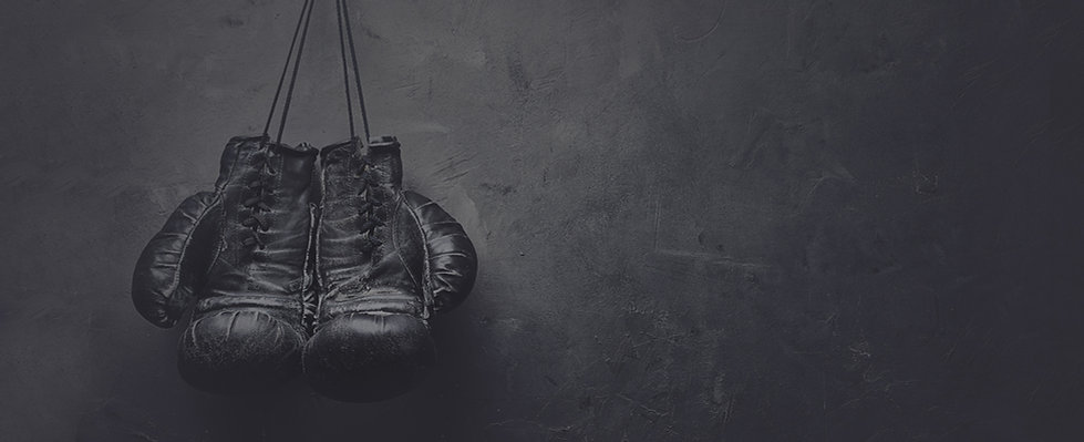 Boxing Gloves