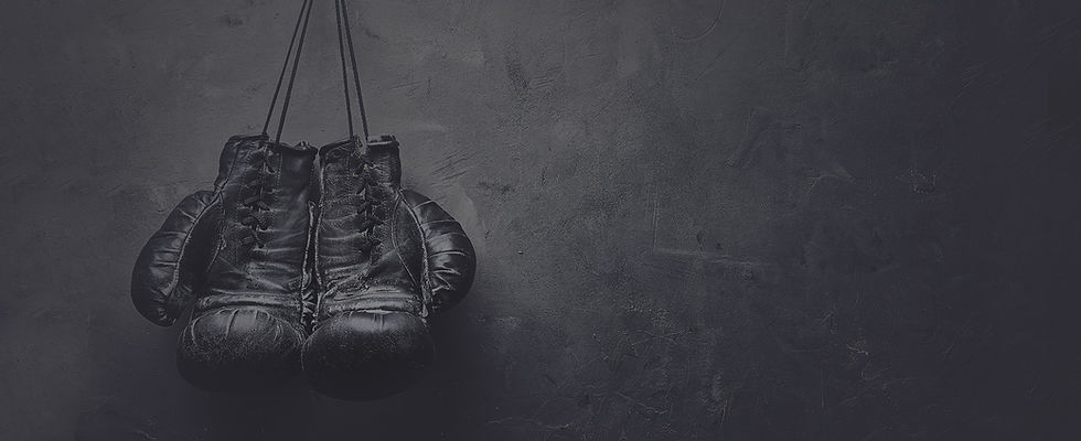 Boxhandschuhe