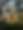GoingNorth_CandiceLorrae_HighRes-86_small.png