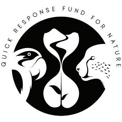 QRFN Logo