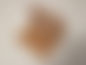 Panzerschloss Querriegelschloss Schließplatte