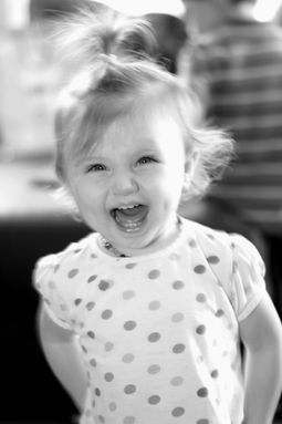 IMG_7333.1.jpg