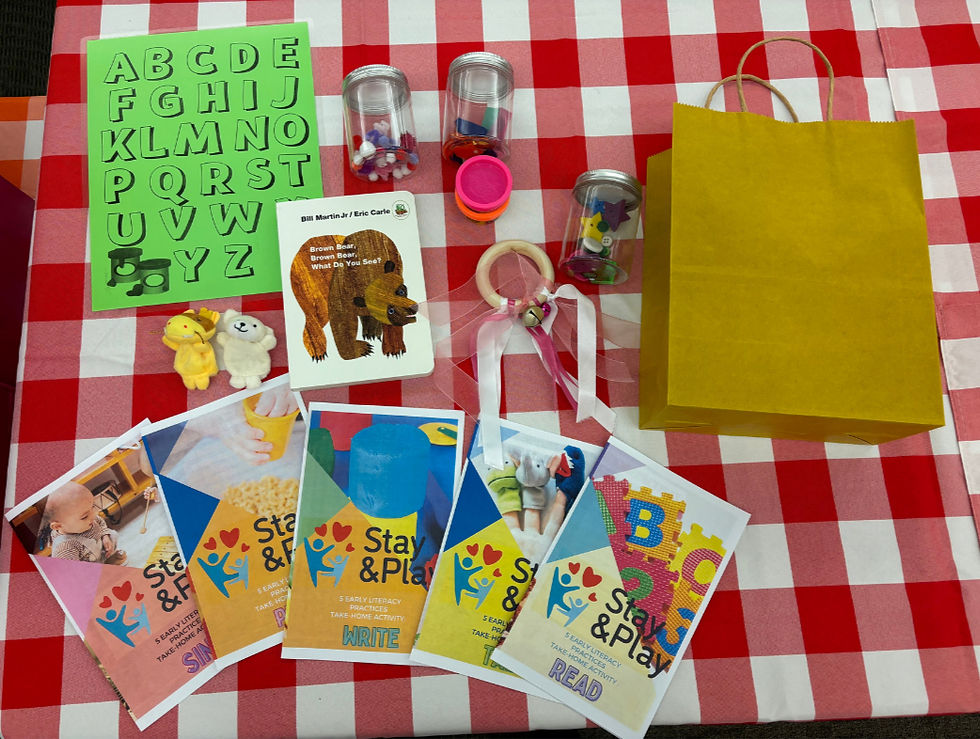 Take Home Kits created by the team. These consisted of different items to encourage the 5 keys to early literacy: song, play, writing, talk, and reading