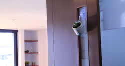 IMG_20201207_141922_edited
