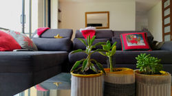 IMG_20201207_132941_edited