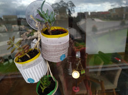 IMG_20201207_140551