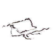 Notation IV - VII / 2016 - VI