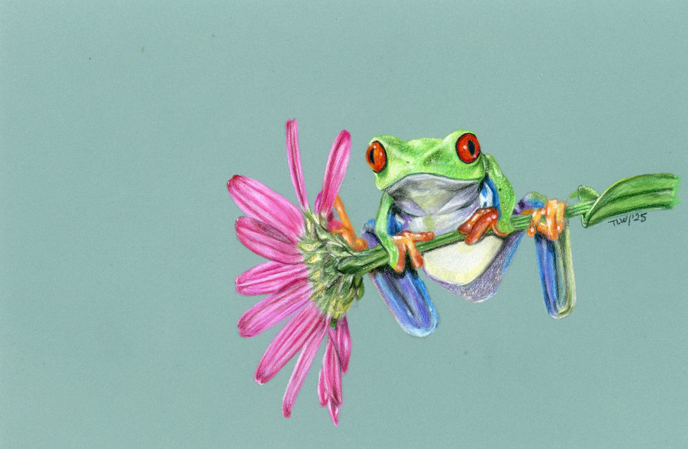 frog pink flower