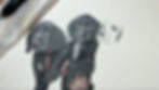 Thumbnail: Puppy Love