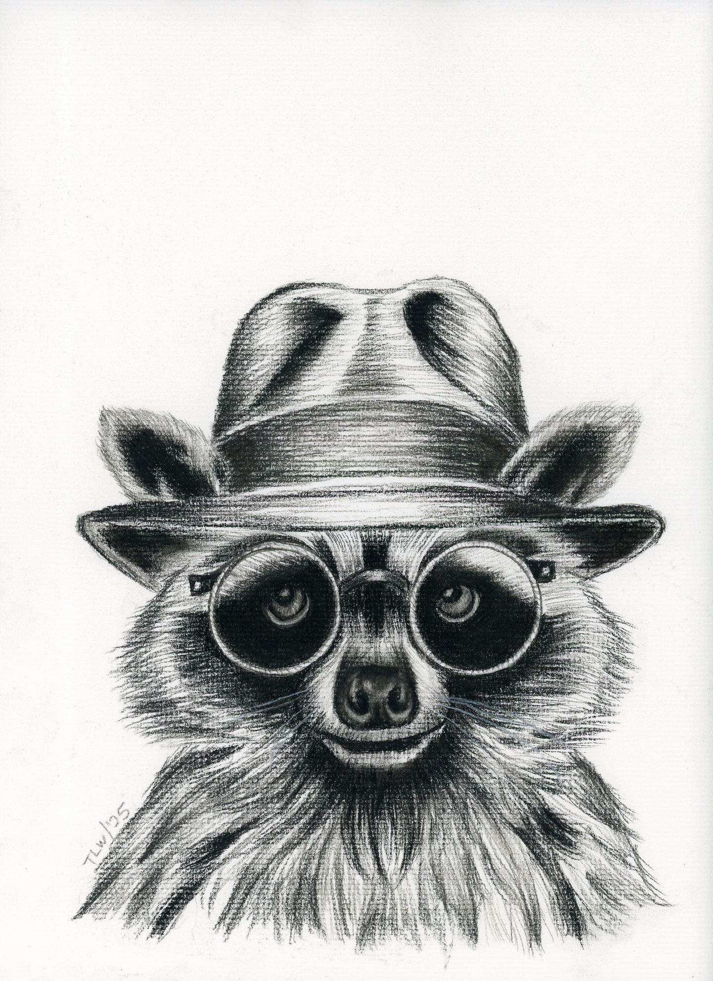Racoon