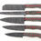 Thumbnail: Handmade Damascus chef knife set of 5 with Multi Color Dollar Sheet handle