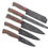 Thumbnail: Handmade Damascus chef knife set of 5 with Multi Color Dollar Sheet handle