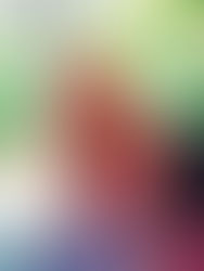 Why I started a blog - lessons learned from 1 year in the blogosphere