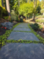 concrete-steppers-with-grondcover_sedum-angelina_permeable-paving-with-groundcover