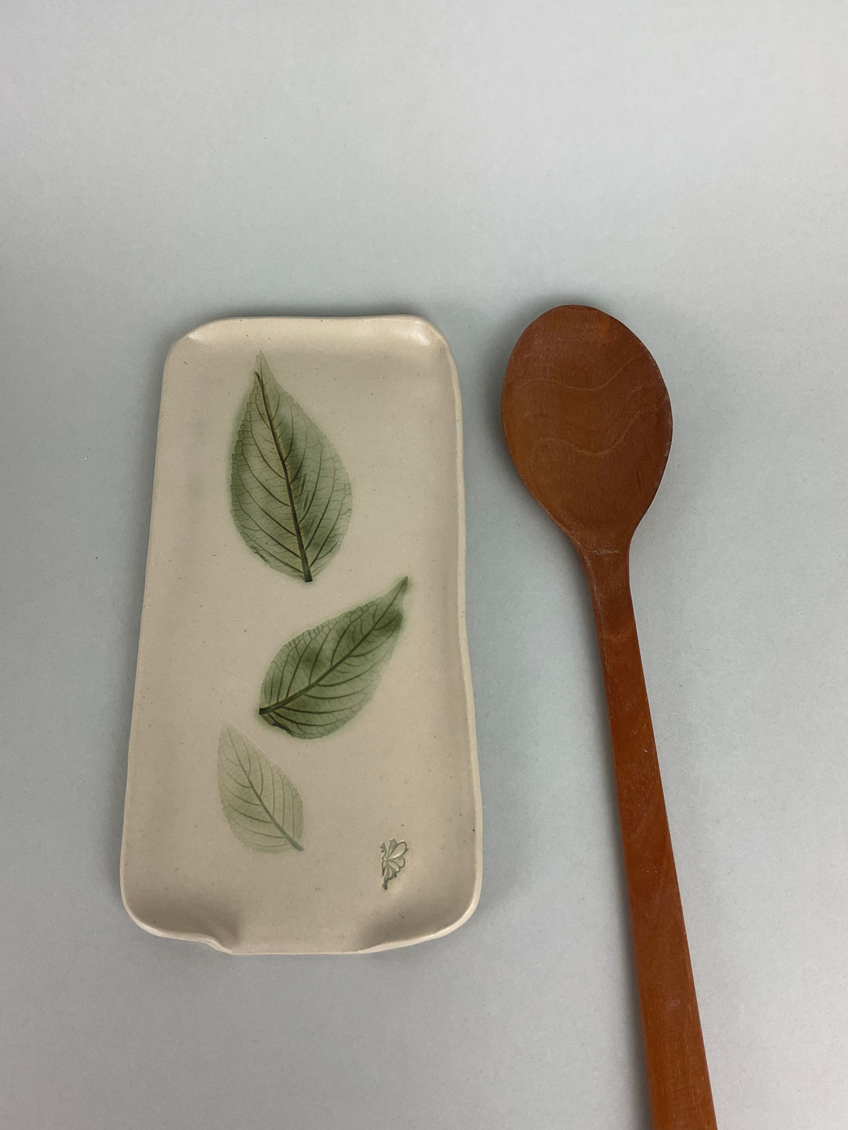 Repose spatule herbier sauge ananas grande feuille