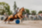 Exposition-Dimanche_49