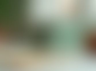 Notary Services in North Carolina: Expert Guidance