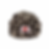 Miniaturbild: Furusato Beanies