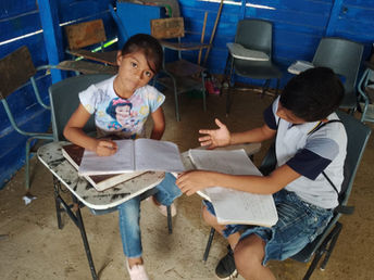 NIEVLACIÓN Y ACOMPAÑAMIENTO-ACELERACIÓN DEL APRENDIZAJE.jpeg