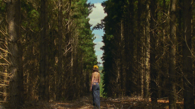 FINAL EDIT (Resolve).00_00_06_00.Still00