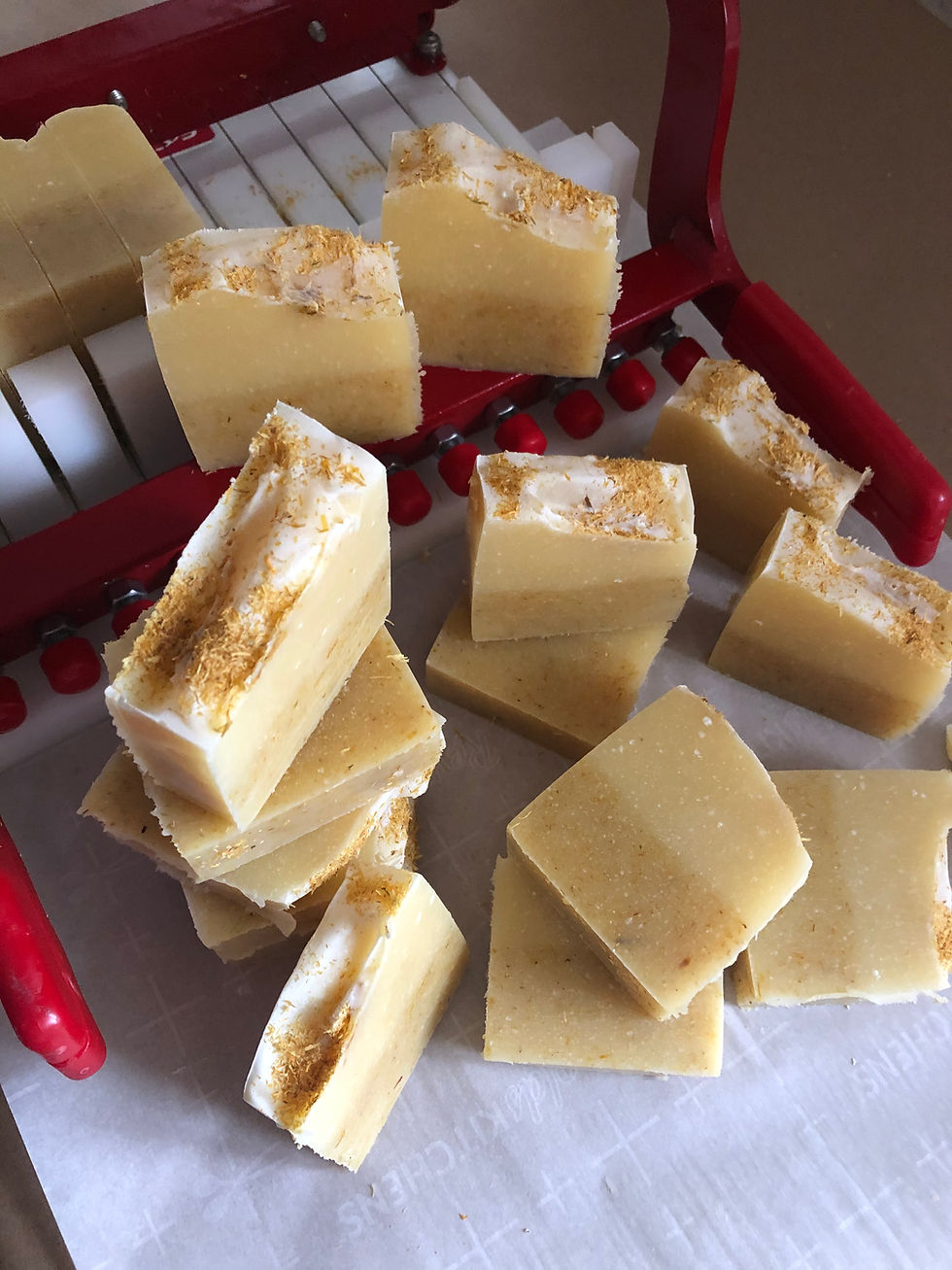 Thumbnail: Sunflower Citrus