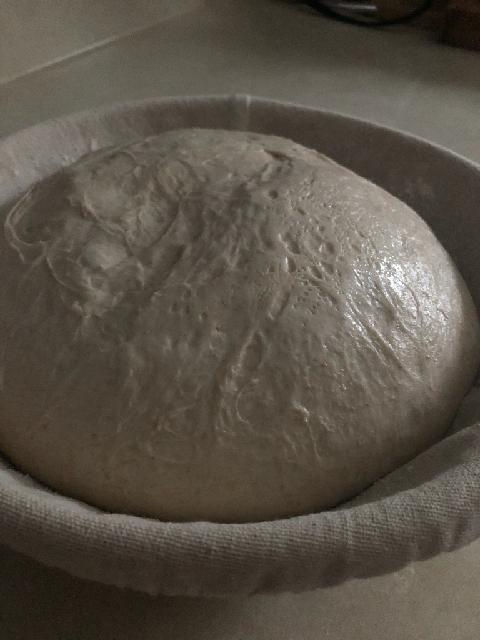 Thumbnail: Dehydrated Sourdough Starter