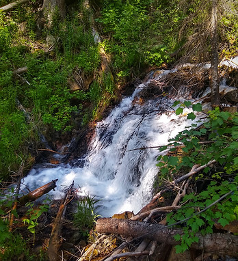 IMG_20200703_104944390_HDR-01.jpeg
