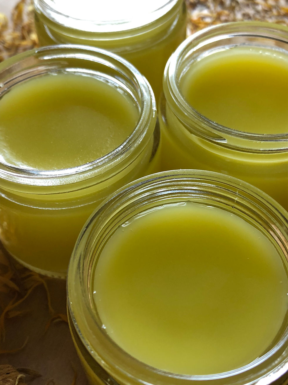 Thumbnail: Calendula Orange Salve