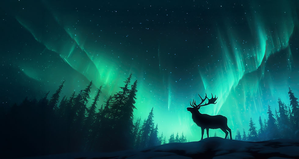 Rota Klima Reindeer Image 01