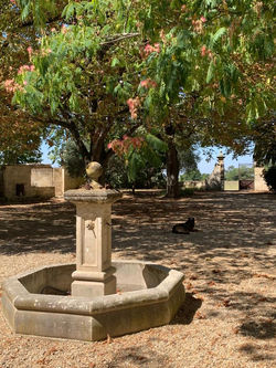 Cour Fontaine